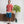 Summer Knit Polo